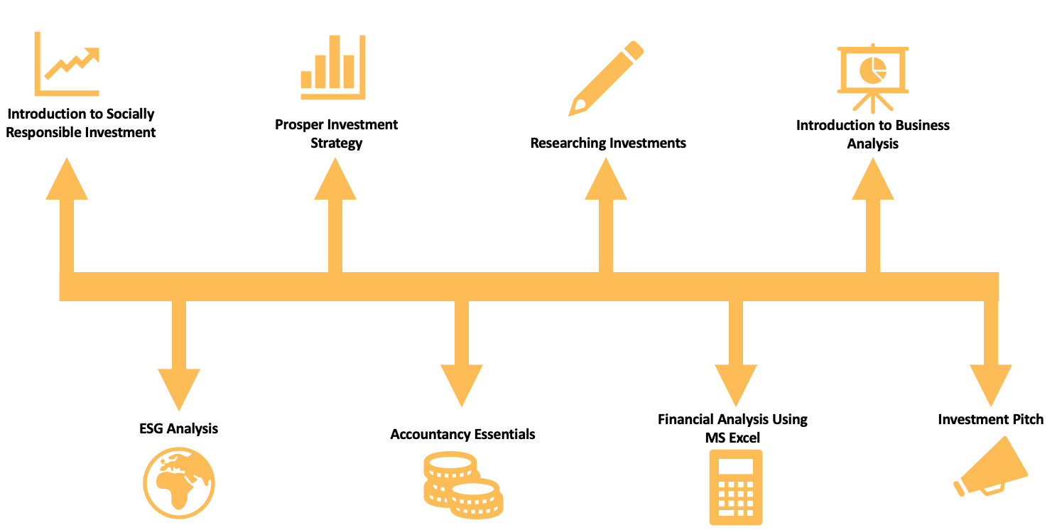 The analyst curriculum